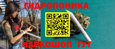 ГАЛЛЮЦИНОГЕННЫЕ ГРИБЫ Заводоуковск